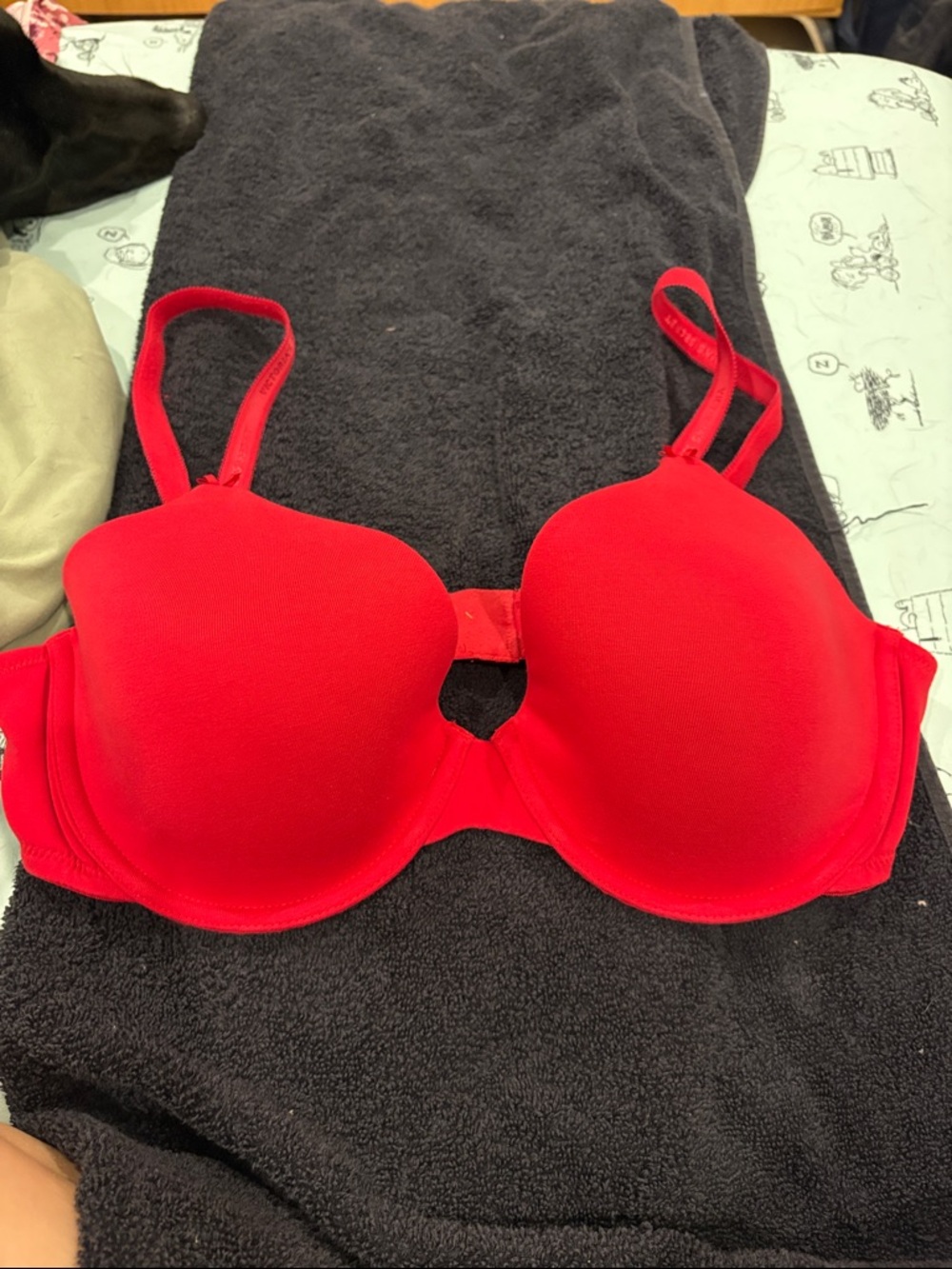 Victoria's Secret Lined Perfect Coverage Bra 38C